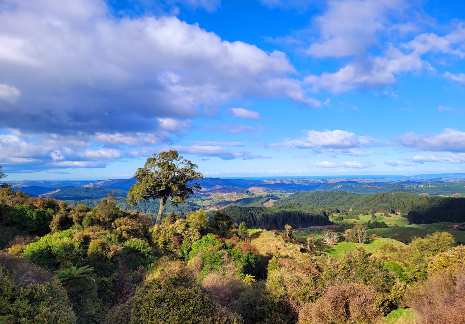 Priority Ecosystem Monitoring HBRC
